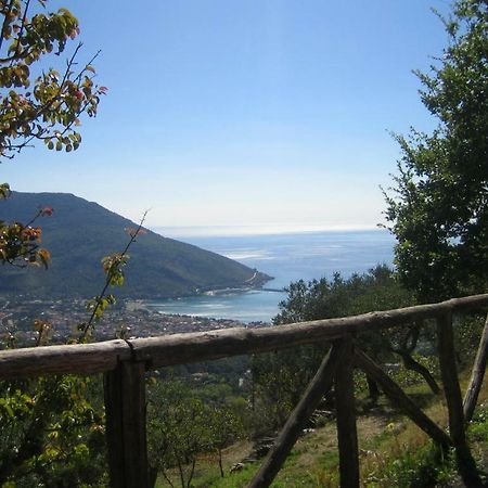 Casa Vacanze Cilento Torraca المظهر الخارجي الصورة